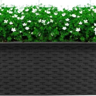 St@llion Rectangle Grey Rattan Planter